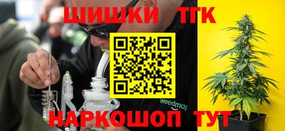 амф Моздок