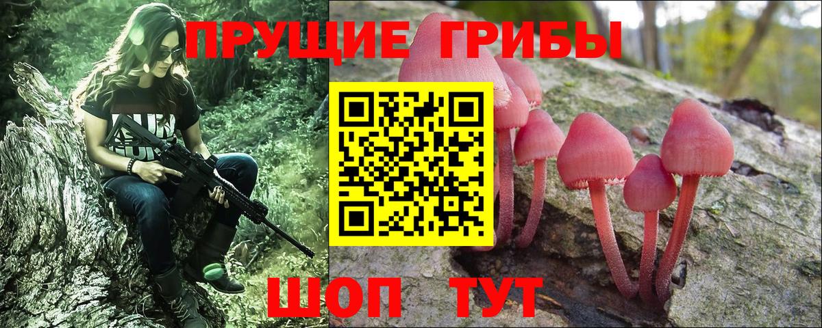 дарнет шоп  Галлюциногенные грибы MAGIC MUSHROOMS  Вход с VPN  Саянск  Псилоцибиновые грибы мухоморы 