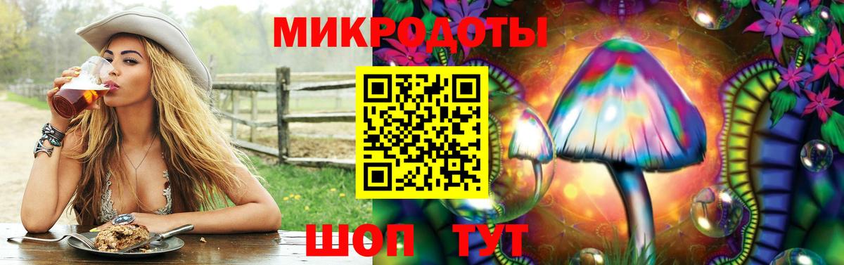 Псилоцибиновые грибы мухоморы Саянск