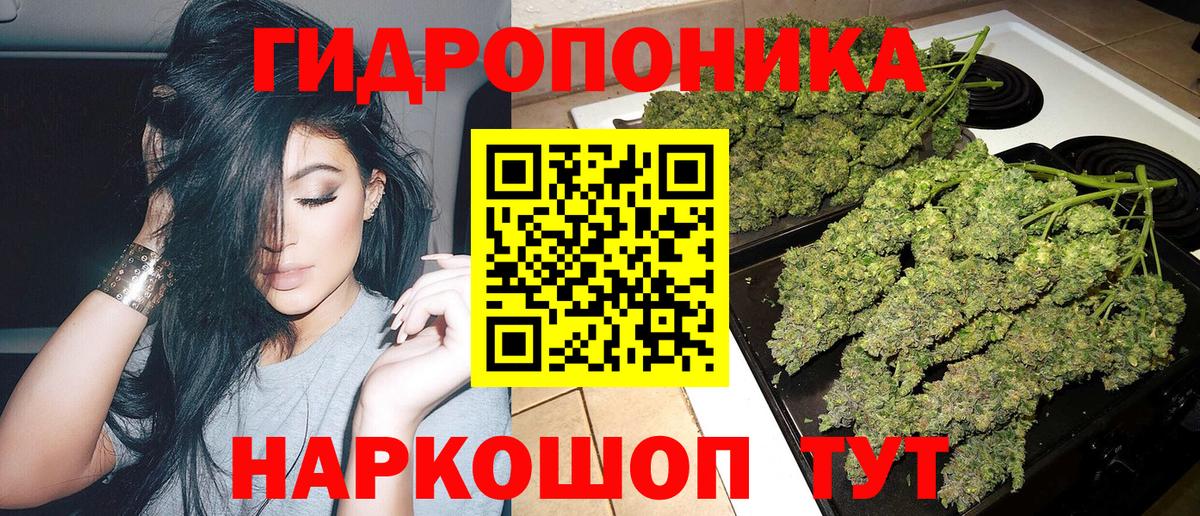 Шишки марихуана ГИДРОПОН  Марихуана планчик  Саянск  Вход с VPN 